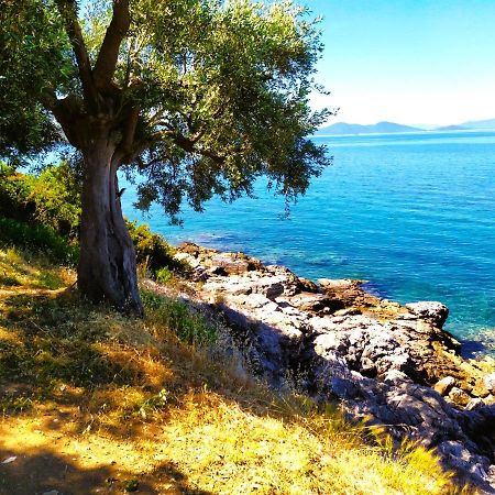 Villa Leonidas Greecefiloxenia Lefokastro Eksteriør billede