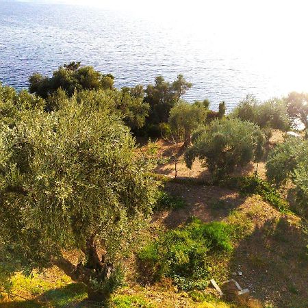 Villa Leonidas Greecefiloxenia Lefokastro Eksteriør billede