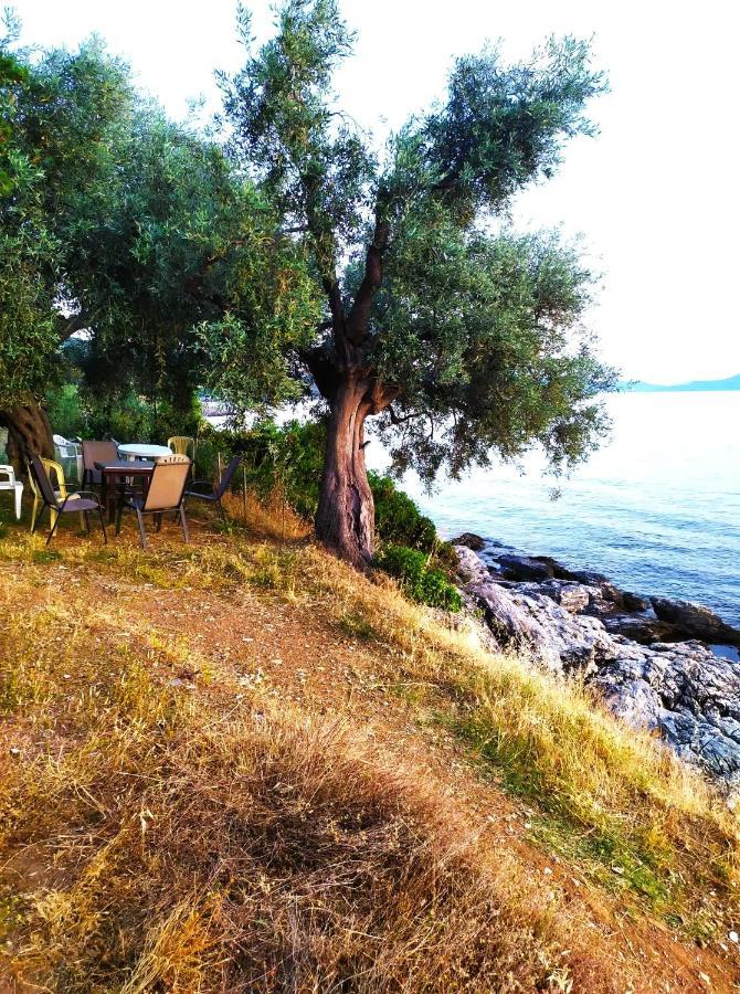 Villa Leonidas Greecefiloxenia Lefokastro Eksteriør billede