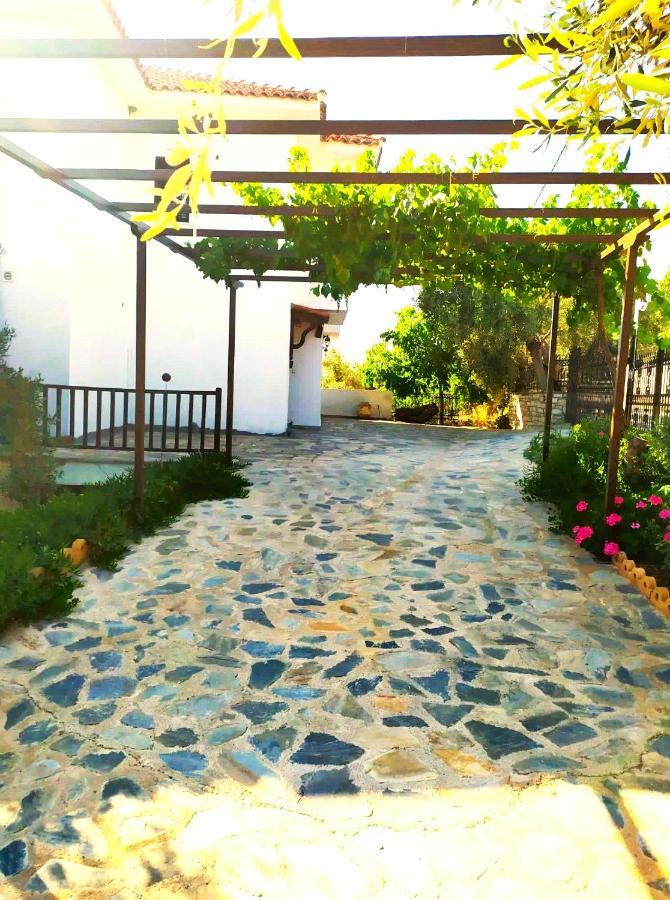 Villa Leonidas Greecefiloxenia Lefokastro Eksteriør billede
