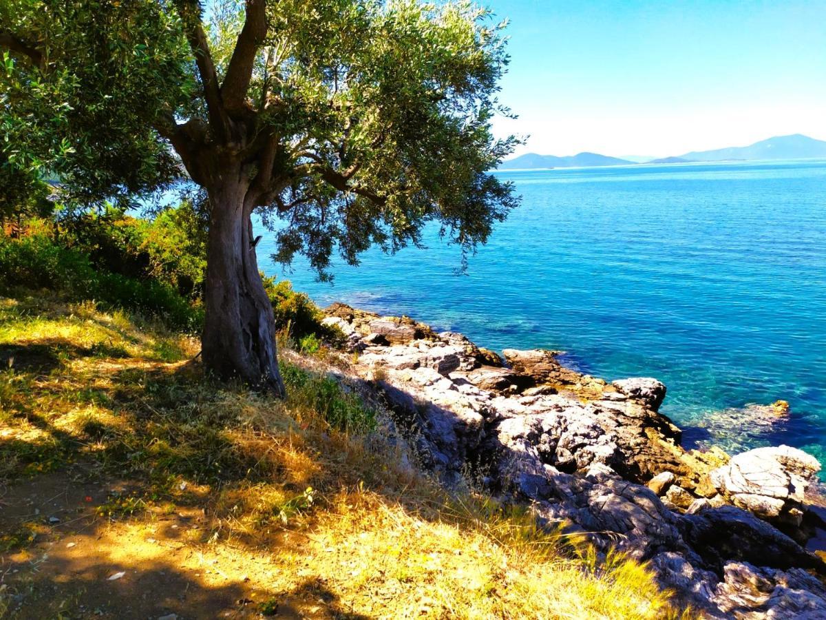 Villa Leonidas Greecefiloxenia Lefokastro Eksteriør billede